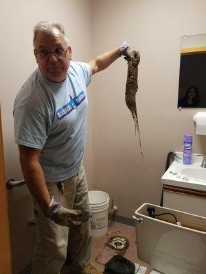 tree roots removed from a toilet flange