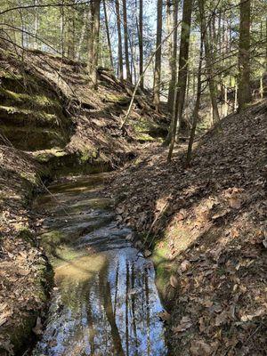 Scenery on Conkle's Hollow Rim trail