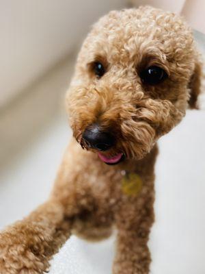 A photo of remi taken at daycare!