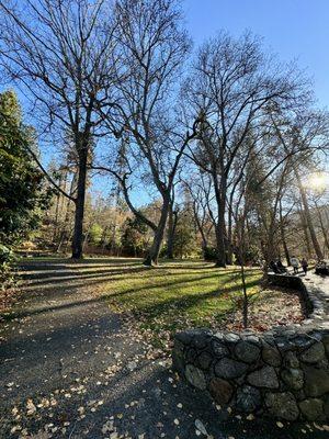 11.26.23 Lithia Park