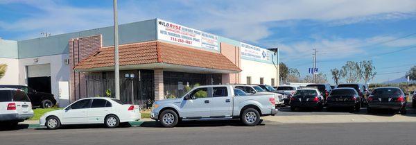 Wild Rose Motors