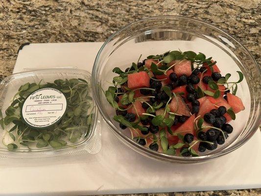 Watermelon, blueberries, and First Leaves cantaloupe shoots make an amazing fruit salad!