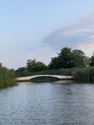 The walking bridge