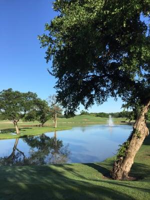 Beautiful day for golf.