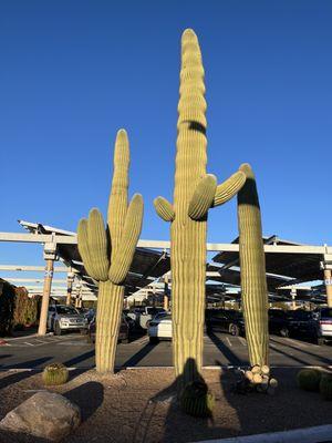 Outside airport