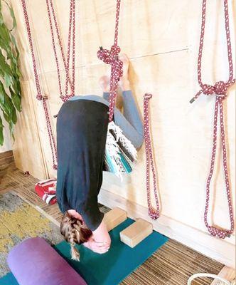 Yoga on the Ropes (Lotus Room)