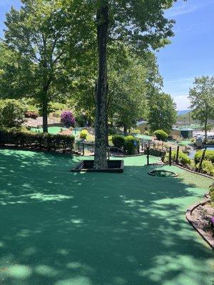 Mini golf