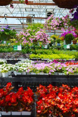 Explore our garden center today for your next planting project!