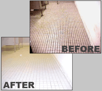 Tile & Grout Cleaning in Home or office