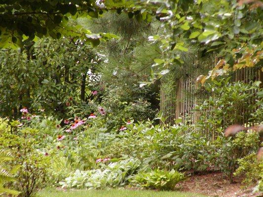 Gorgeous perennial bed.