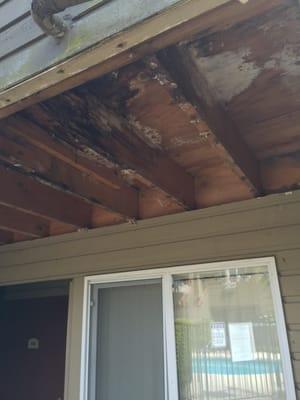 Don't bother fixing the water damage, just cover it up with new siding! Shame on you Cornell and associates!!!!