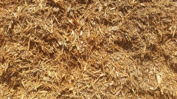 Gold cypress mulch