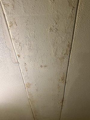 Water damage in the ceiling and paint chipping off and falling.