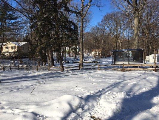 Our snow filled backyard