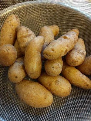 Fingerling potatoes