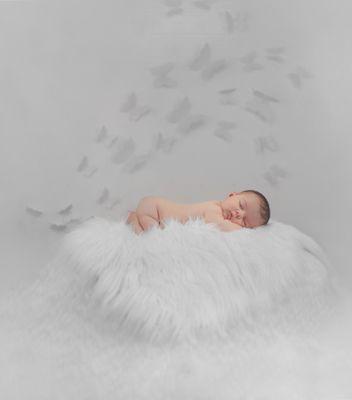 Butterfly Newborn session.