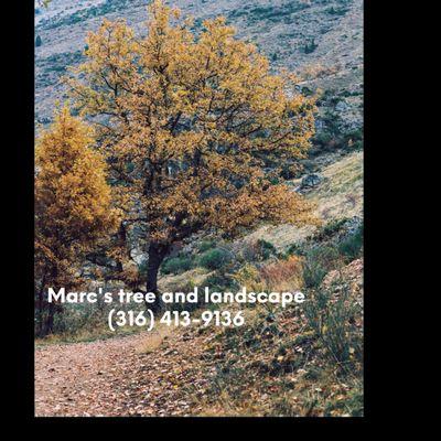 marcs tree and landscape