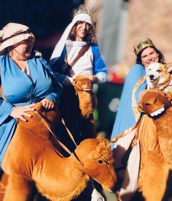 Gaslamp Holiday Pet Parade And Expo