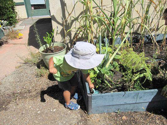 Spring gardening is great!