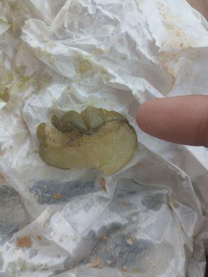 Looks like a disgusting rotting pickle i don't know if i ate any others like it my stomach feels weak