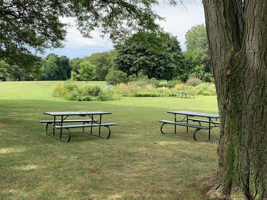 Shaded picnic tables and flower garden