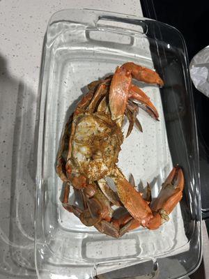 Jumbo Crab