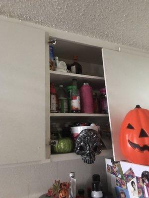 Look at all these broken cupboards, nails sticking out for years, these have fallen off and told them it could be termites