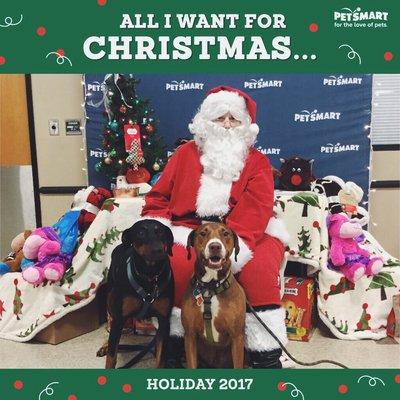 Santa stopped by our local PetSmart! They got a photo even though they're at the top of the naughty list.