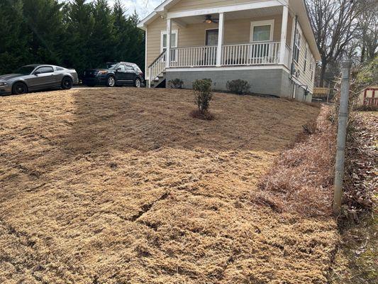 New Sod Installation, Dirt, and Pine Straw by Golden Season Landscape.