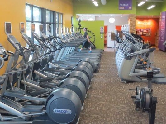 Variety of Cardio Machines