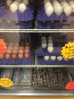 Variety of eggs; quail, duck, Balut, brown eggs, and white.