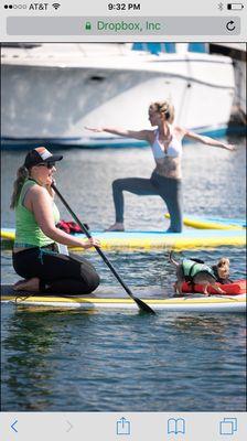 Dr. April is a great instructor and has her dog Layla on the front of her board while teaching!