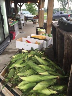 Summer sweet corn!