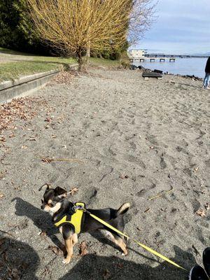 Beach day!