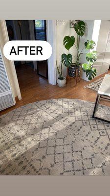 Ferrante's Steam Carpet Cleaning