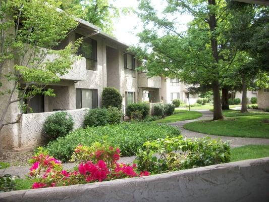 The always beautiful Joshua Tree Apartments