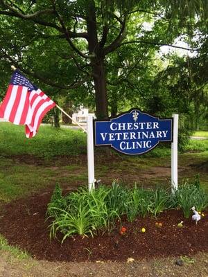 Welcome to Chester Veterinary Clinic