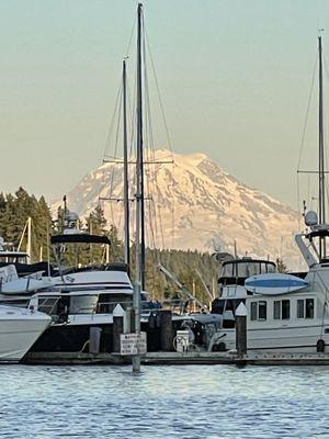 Mt. Rainier