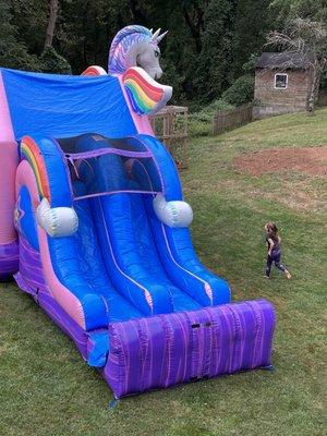 Slides on unicorn moonbounce