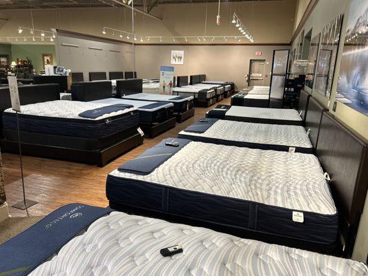 Amazing and affordable mattress gallery