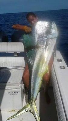 Cindy's 52 lb Mahi