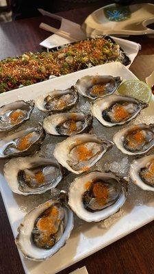 Oysters