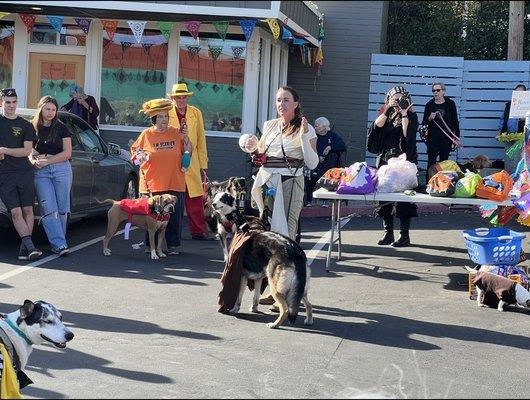 PAWS'itive Pals Dog Training