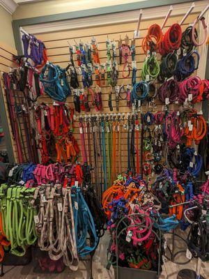 TimberWolf dogs harness wall.