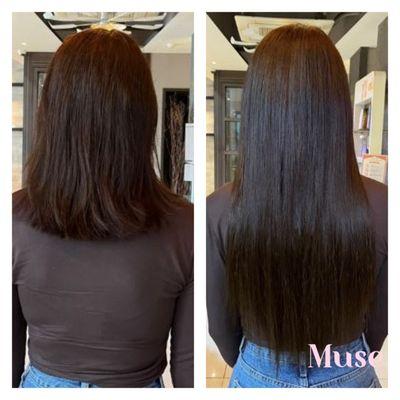 Muse Hair Extensions