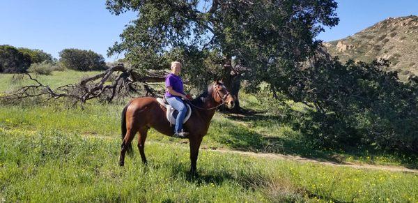 Chocolate and carey on a trail ride in Chatsworth park.