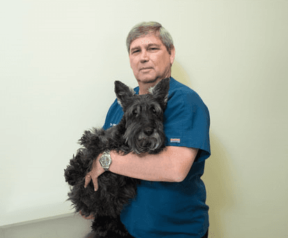 Dermatology & Allergy Services for Animals