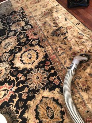 On-site oriental rug cleaning