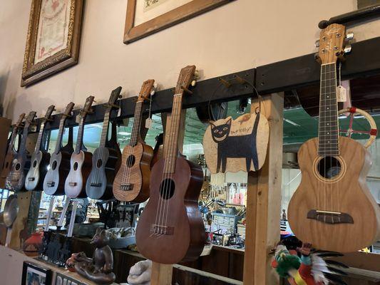 Hargiss Stringed Instruments