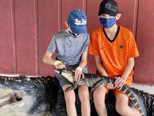 there's an extra $5 fee to hold an alligator and get your photo taken